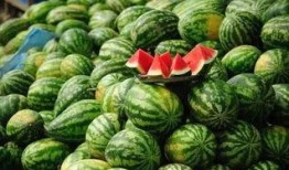 黑料社 朝阳吃瓜51cg,揭秘黑料社与吃瓜51cg背后的故事